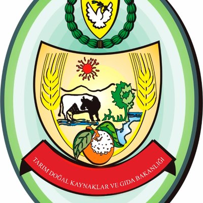 Dipkarpaz’da koyun ve keçi sütü alımına yarın başlanıyor