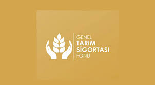 2025 İlkbahar Patates beyanları askıya alındı