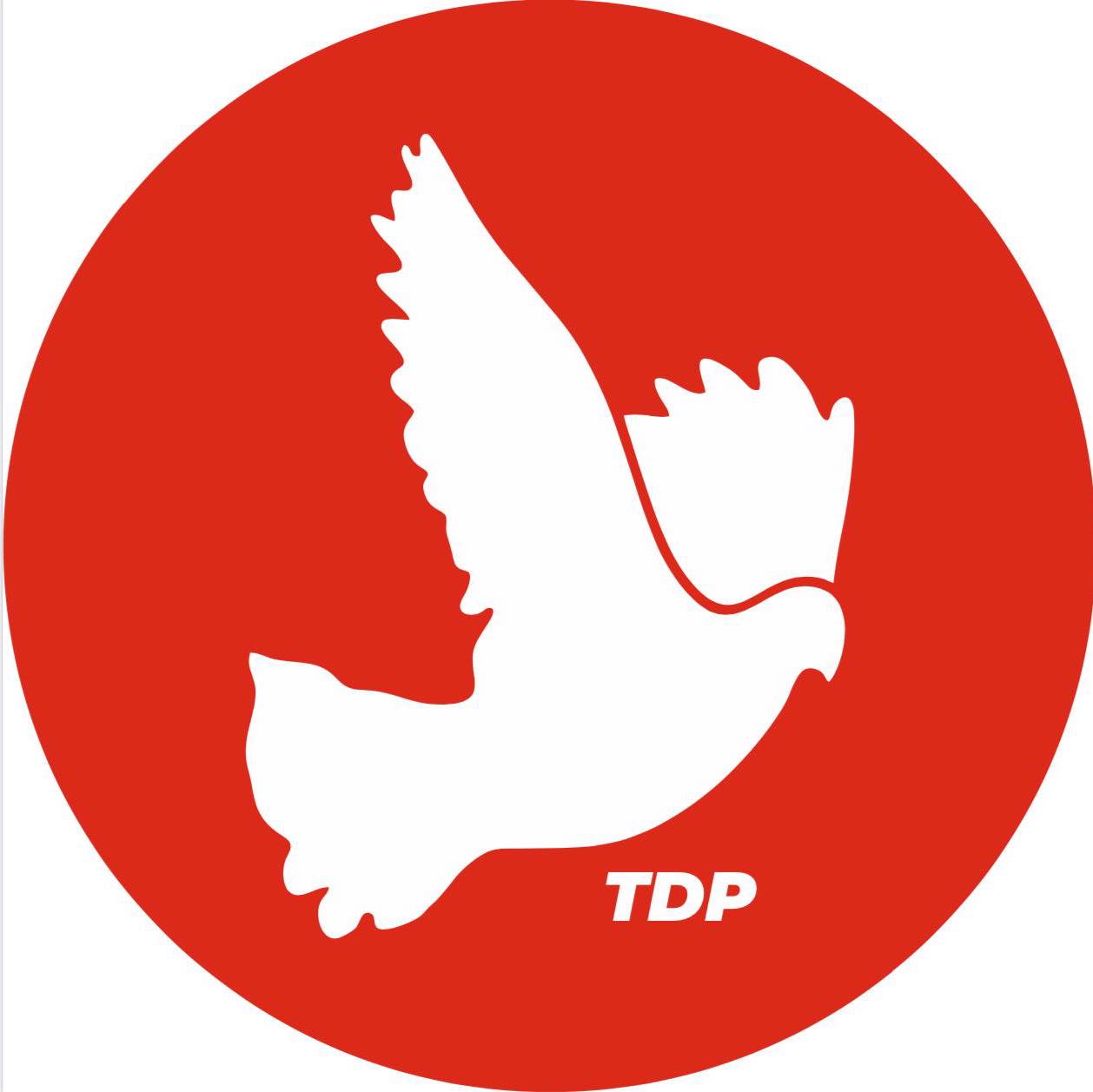 TDP Girne İlçe Başkanı Mehmet Perçinkardeşler oldu