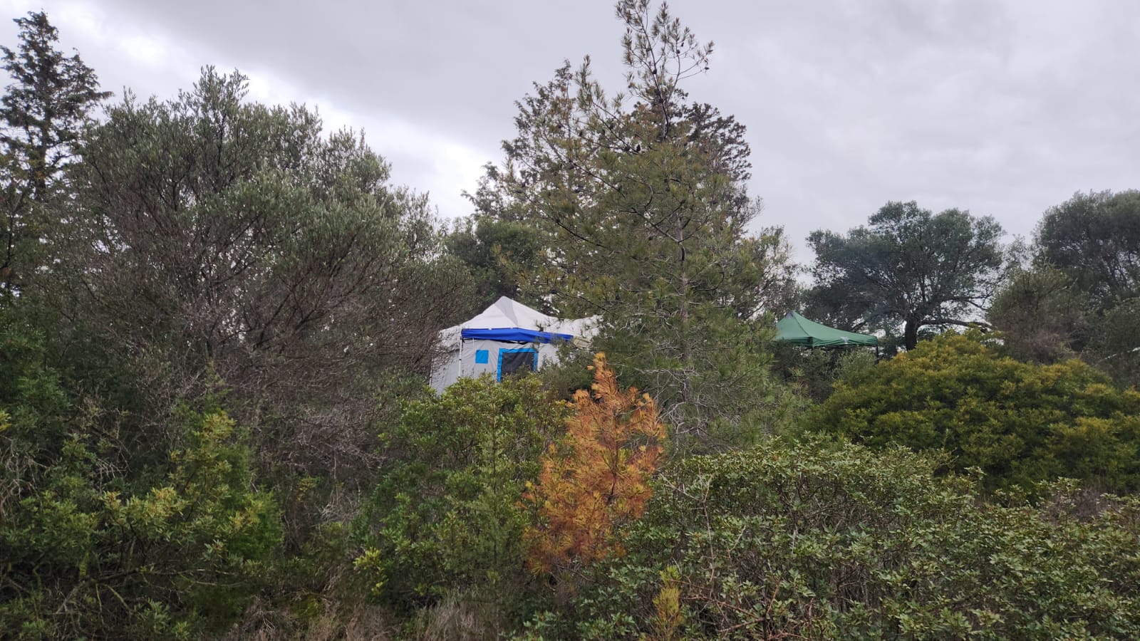 Diran’dan Yeniboğaziçi kamp alanı hakkında açıklama