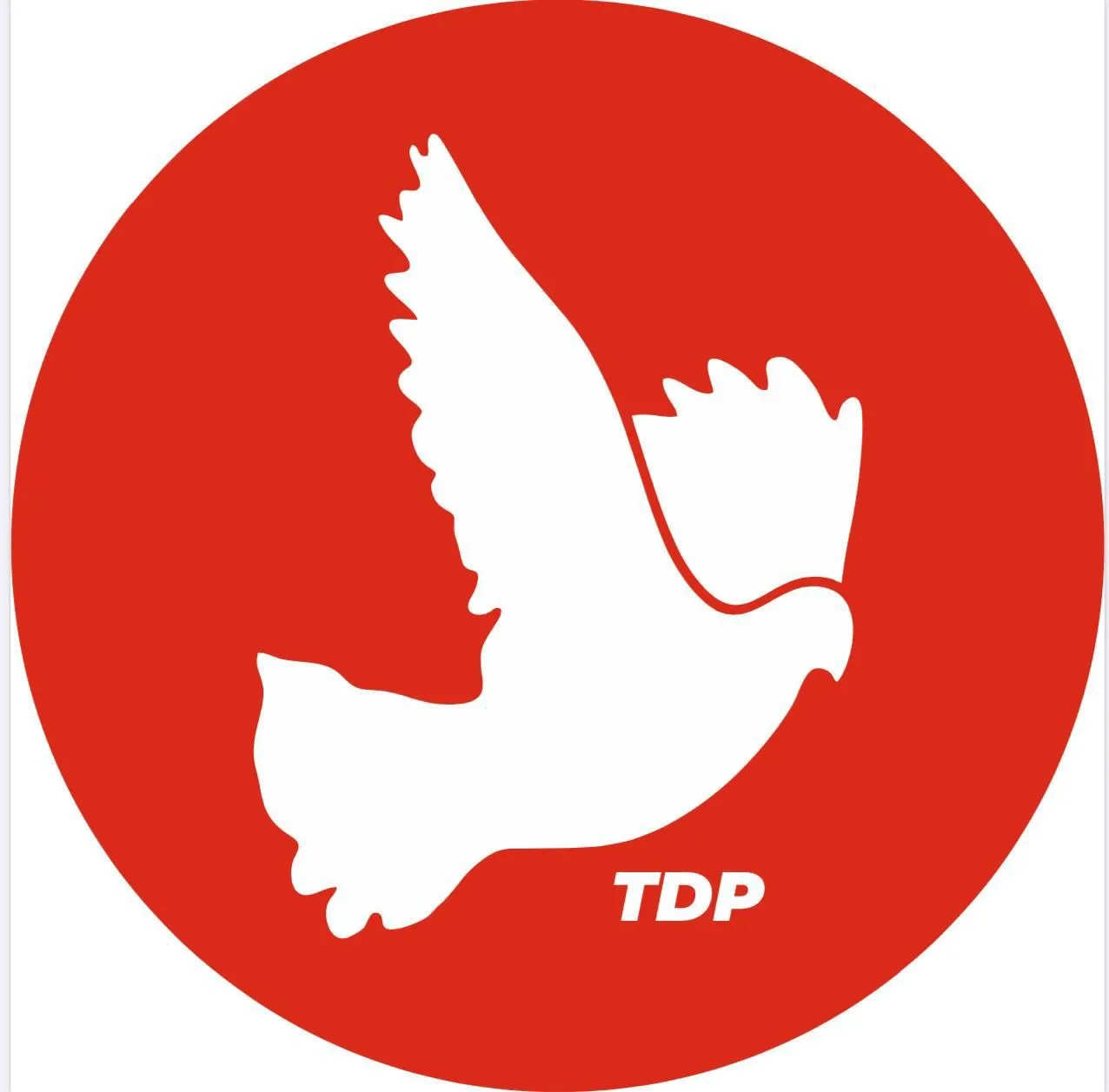 TDP, Ercan Havalimanı’ndaki embriyo olayının aydınlatılmasını istedi