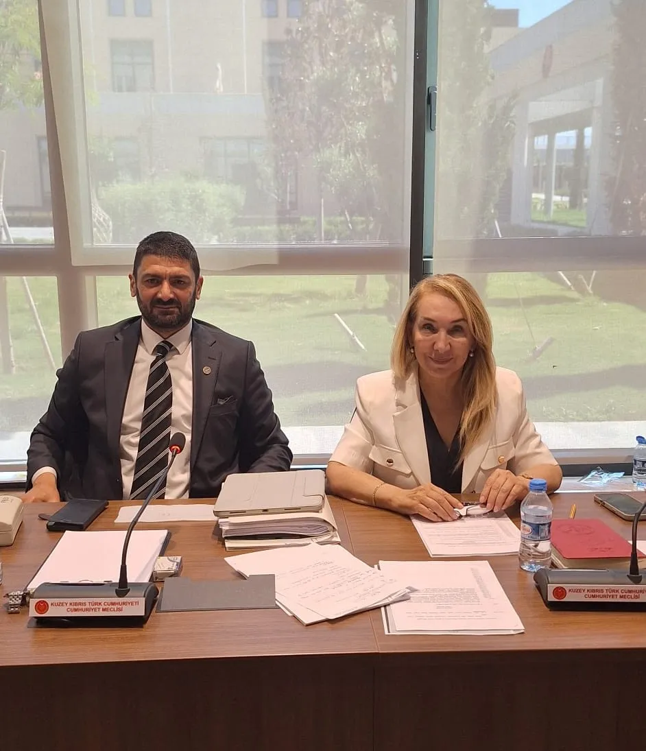 İdari, Kamu ve Sağlık İşleri Komitesi toplandı... 3 tasarı Genel Kurul'a sevk edildi