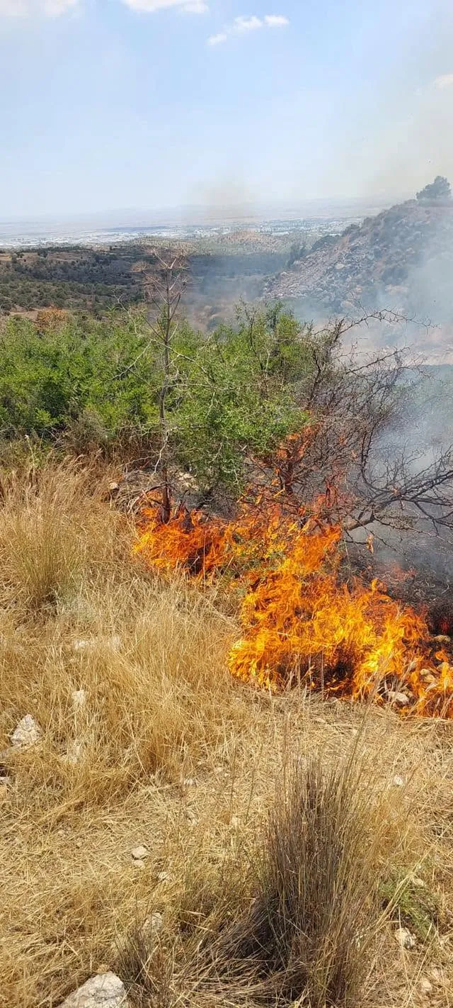 Taşkent’le Güngör arasındaki yangın söndürüldü