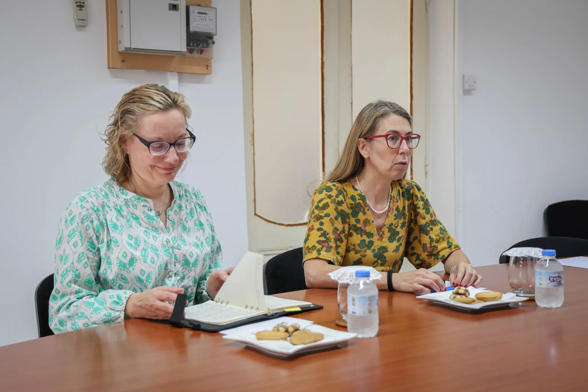 CTP Dış İlişkiler Sekreteri Toros, AB Kıbrıs Çözüm Destek Ofisi Genel Müdürü ile görüştü